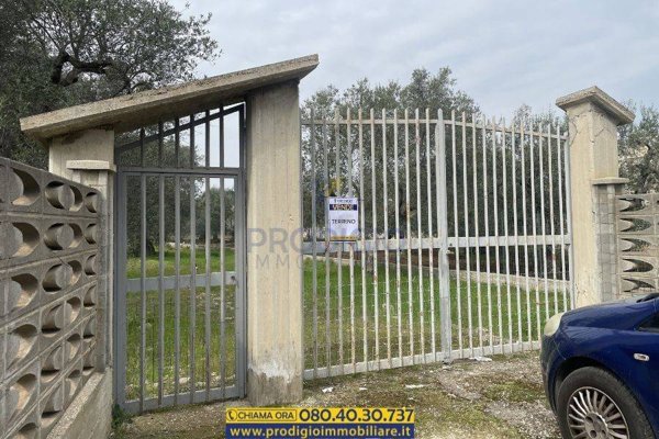 terreno agricolo in vendita a Bisceglie
