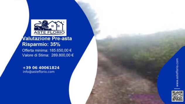 terreno agricolo in vendita a Bisceglie