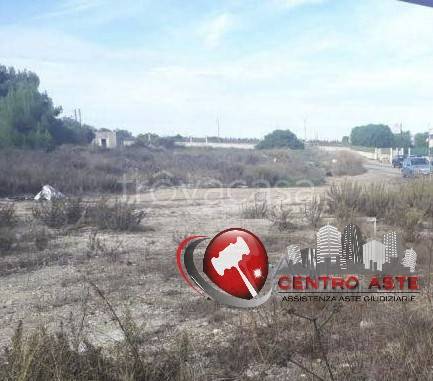 terreno agricolo in vendita a Bisceglie