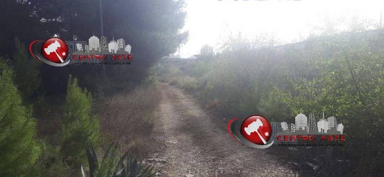 terreno agricolo in vendita a Bisceglie