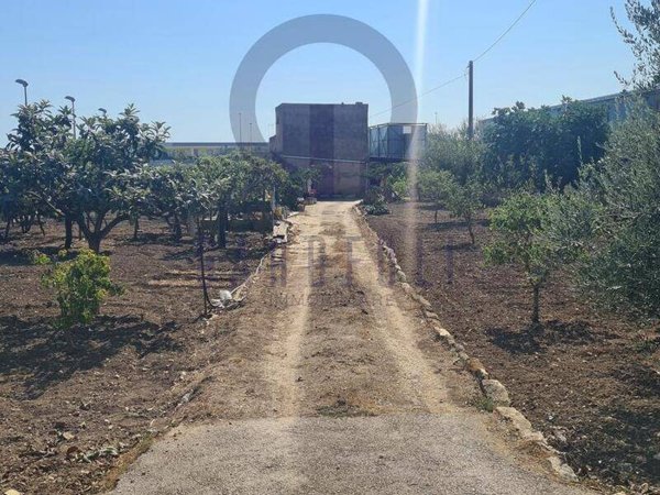 terreno agricolo in vendita a Bisceglie