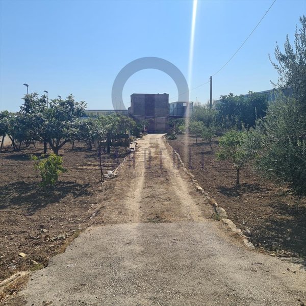 terreno agricolo in vendita a Bisceglie