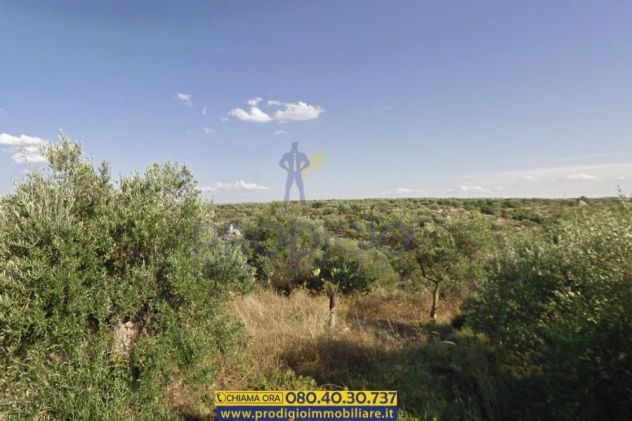 terreno agricolo in vendita a Bisceglie
