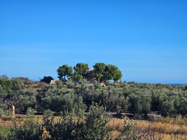 casa indipendente in vendita a Bisceglie