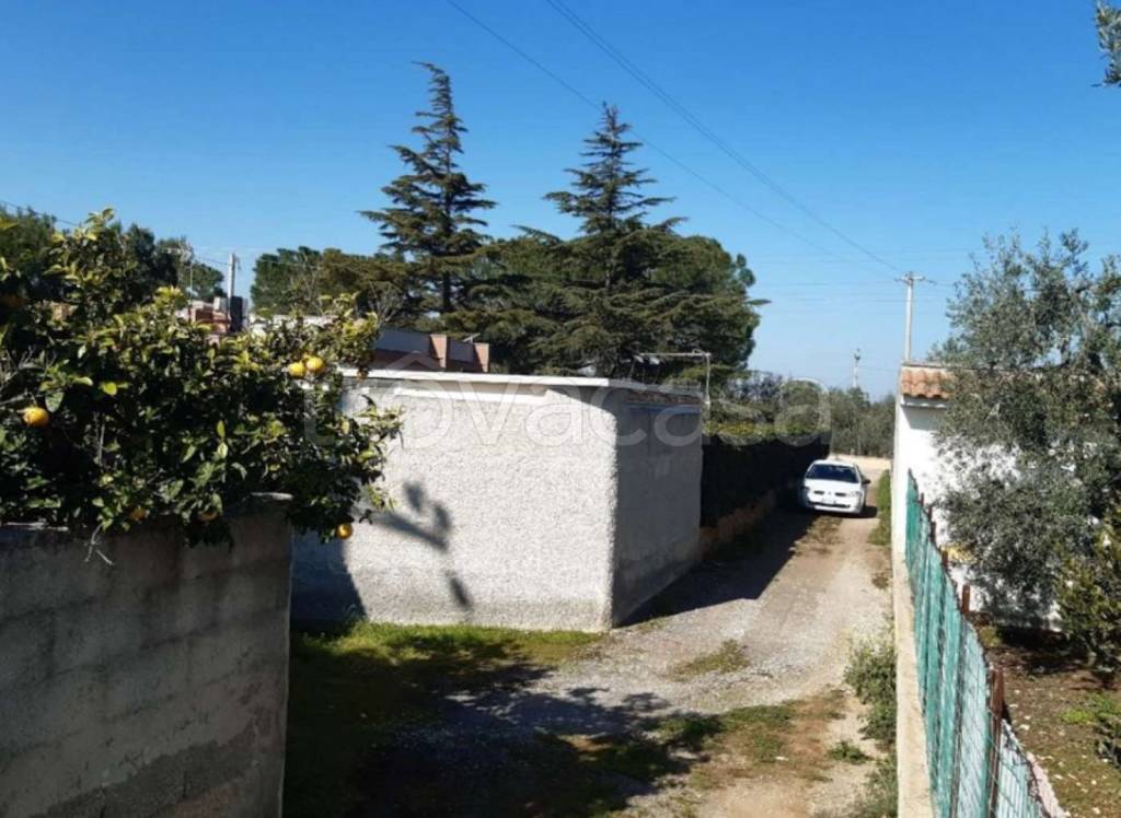 terreno agricolo in vendita a Bisceglie