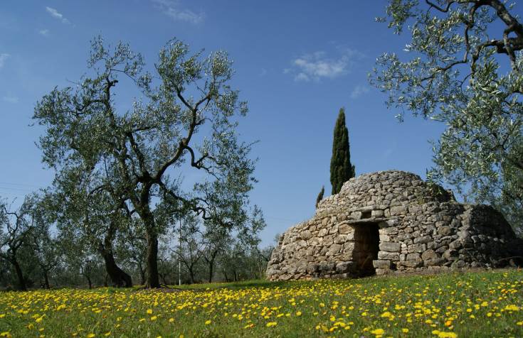 terreno agricolo in vendita a Bisceglie