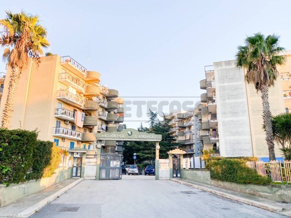 appartamento in vendita a Bisceglie