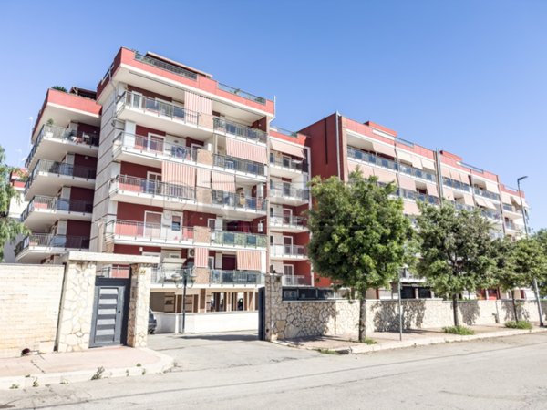 appartamento in vendita a Bisceglie
