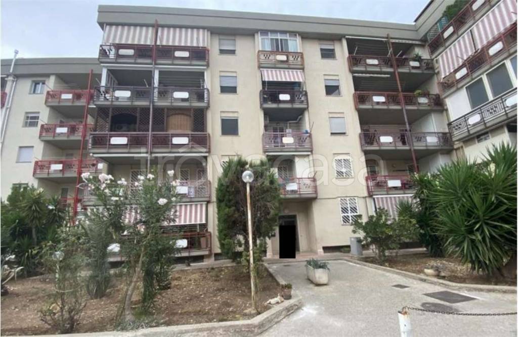 appartamento in vendita a Bisceglie