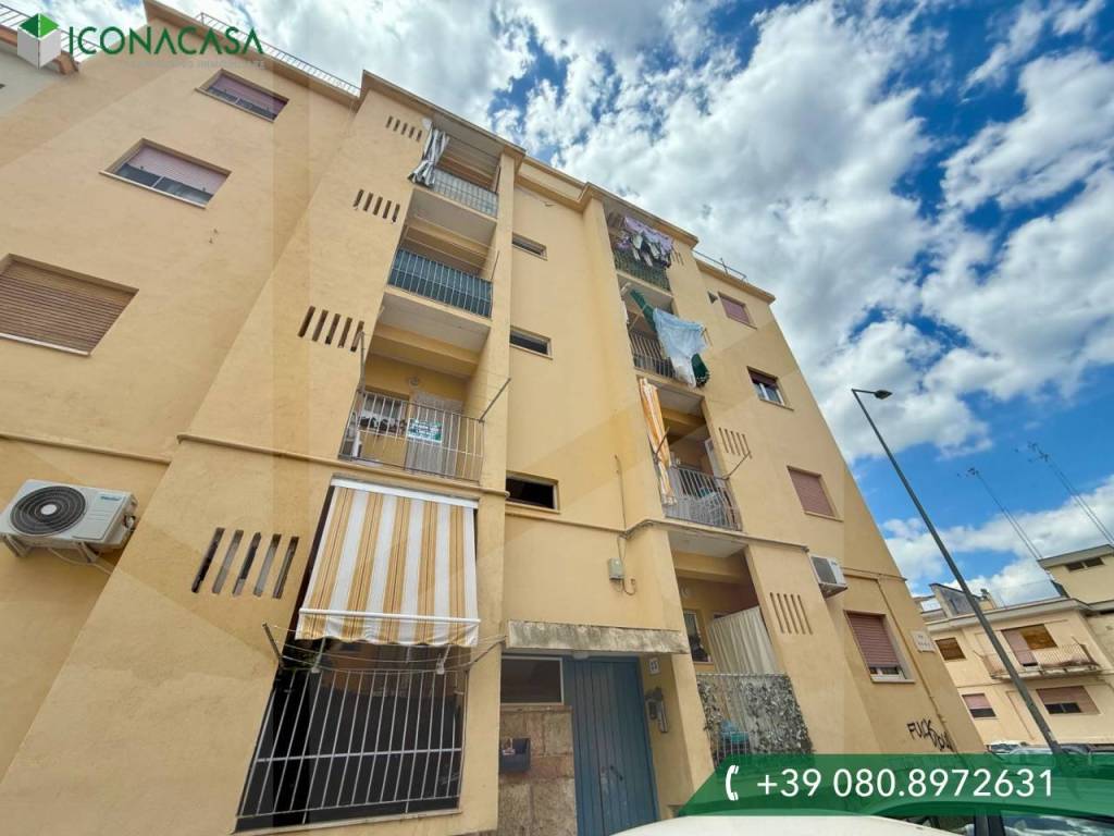 appartamento in vendita a Bisceglie