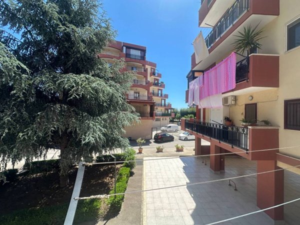 appartamento in vendita a Bisceglie