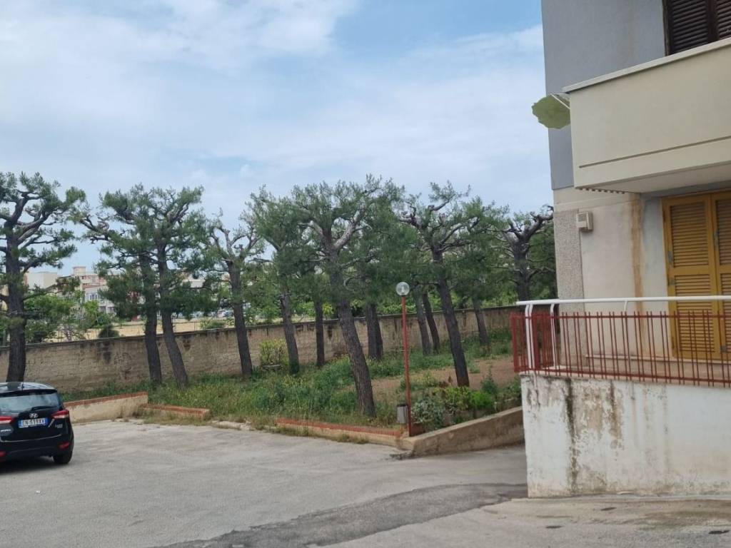 locale commerciale in vendita a Bisceglie