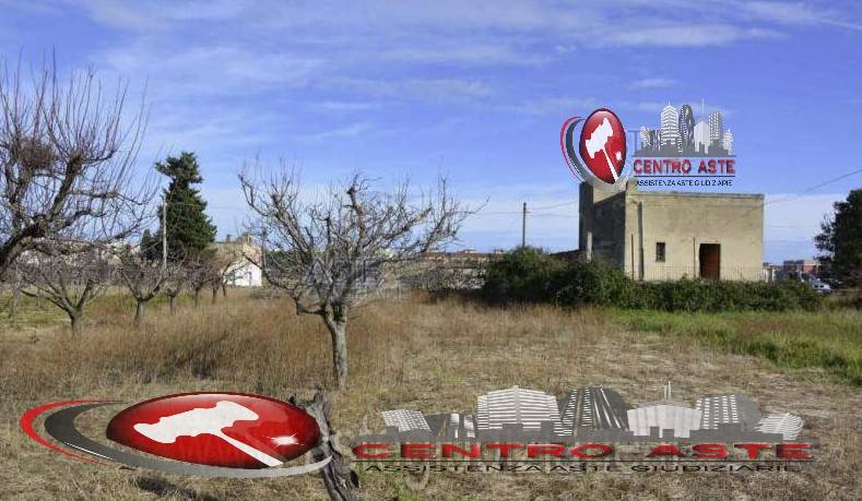 terreno agricolo in vendita a Bisceglie