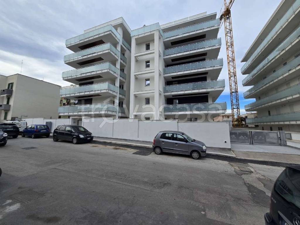 appartamento in vendita a Bisceglie