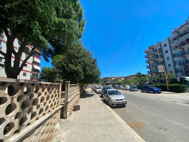 appartamento in vendita a Bisceglie