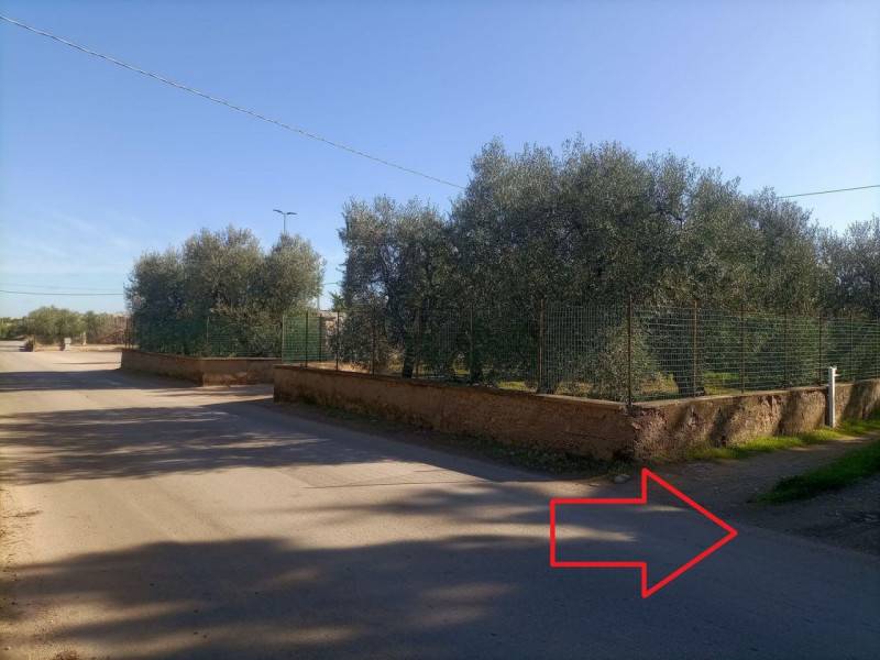 terreno agricolo in vendita a Bisceglie