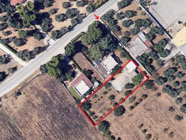 terreno agricolo in vendita a Bisceglie