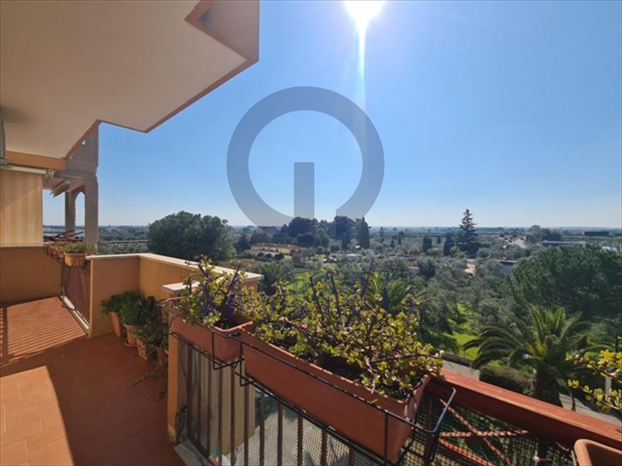 appartamento in vendita a Bisceglie