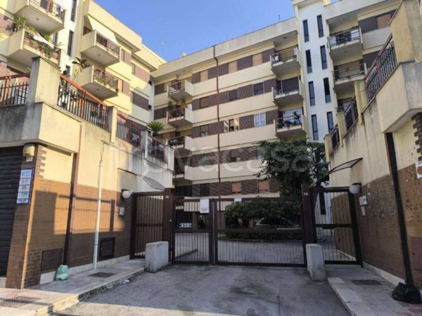 appartamento in vendita a Bisceglie