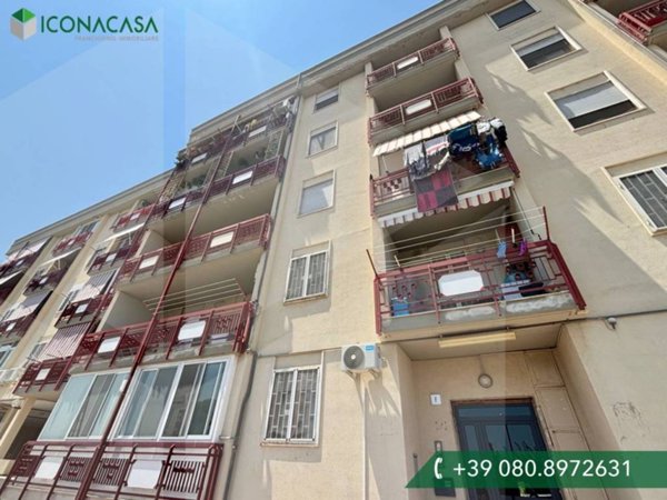 appartamento in vendita a Bisceglie