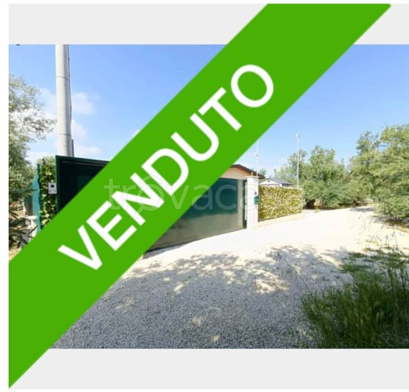 casa indipendente in vendita a Bisceglie