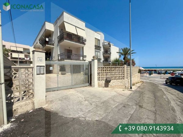 appartamento in vendita a Bisceglie
