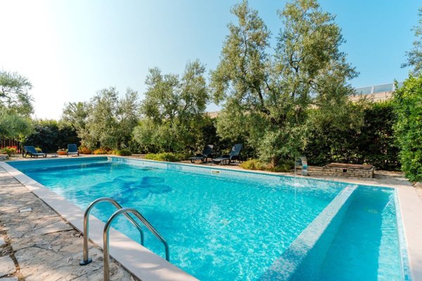 azienda agricola in vendita a Bisceglie