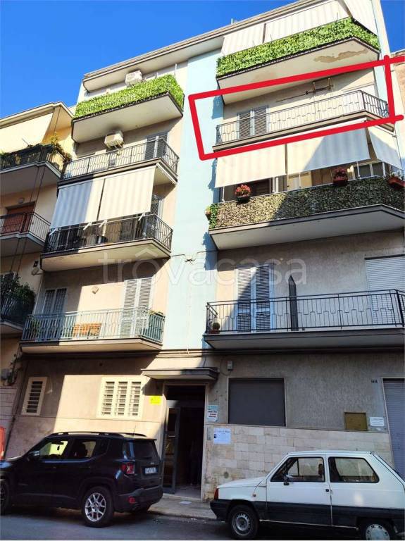 appartamento in vendita a Bisceglie