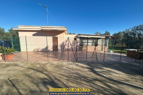 appartamento in vendita a Bisceglie