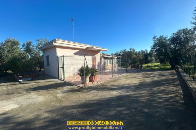 appartamento in vendita a Bisceglie