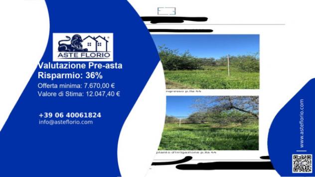terreno agricolo in vendita a Bisceglie