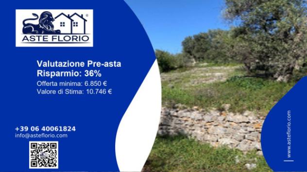 terreno agricolo in vendita a Bisceglie