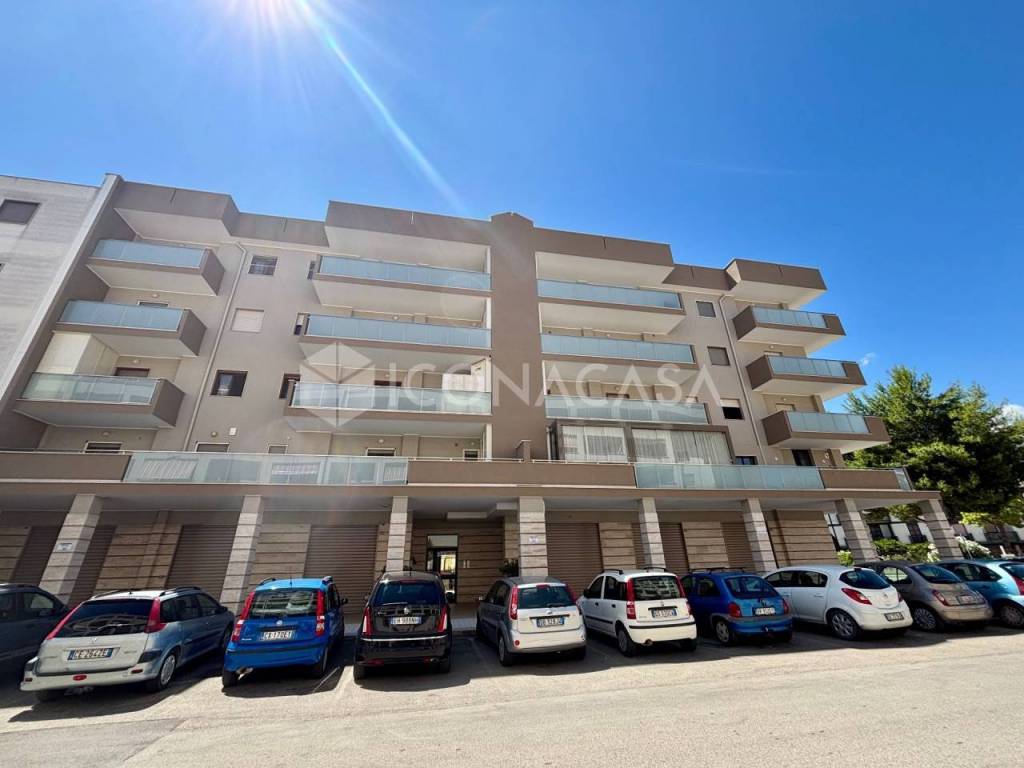 appartamento in vendita a Bisceglie