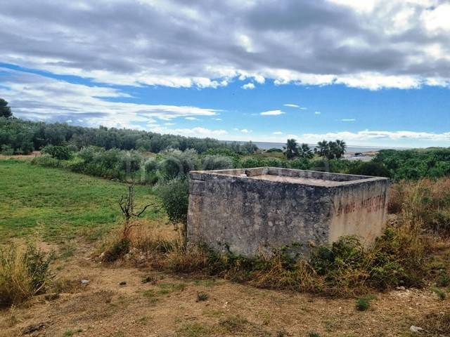 terreno agricolo in vendita a Bisceglie