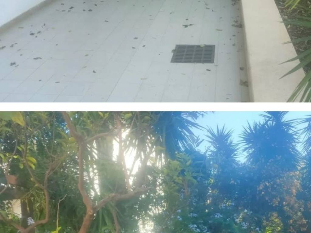 casa indipendente in vendita a Bisceglie