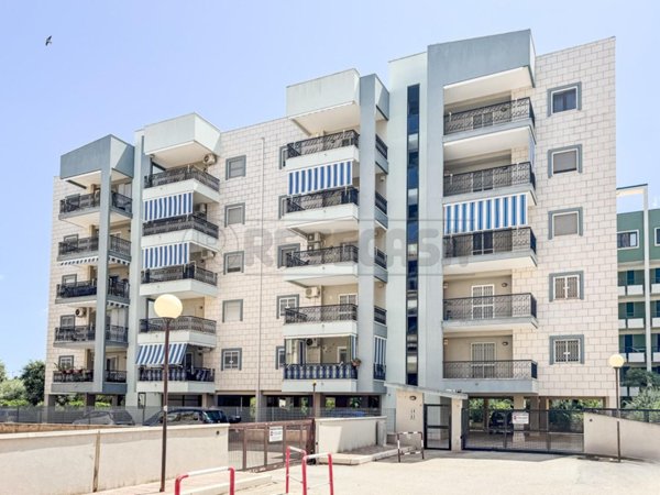 appartamento in vendita a Bisceglie