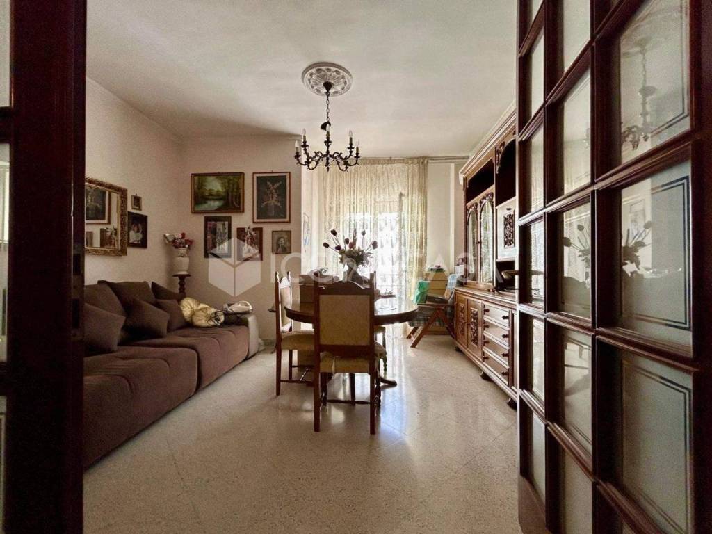 appartamento in vendita a Bisceglie