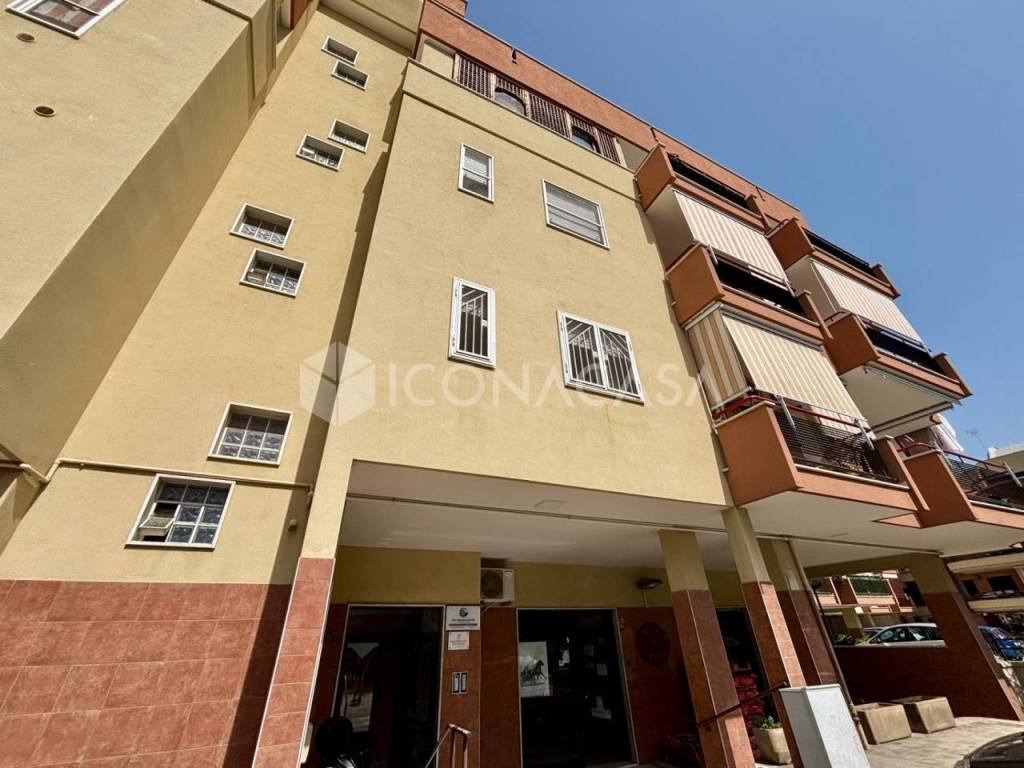 appartamento in vendita a Bisceglie