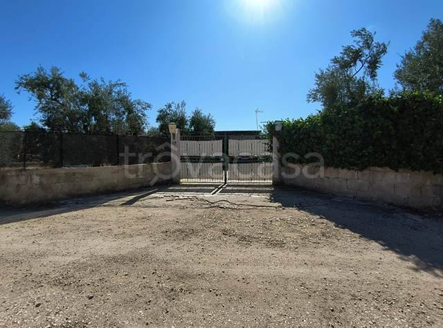 casa indipendente in vendita a Bisceglie