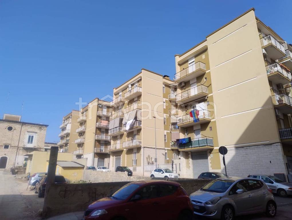 appartamento in vendita a Bisceglie
