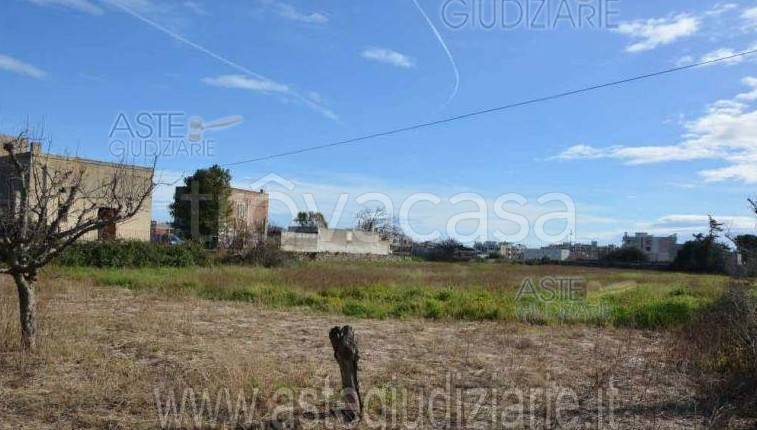 terreno agricolo in vendita a Bisceglie