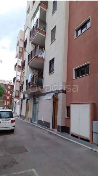 appartamento in vendita a Bisceglie
