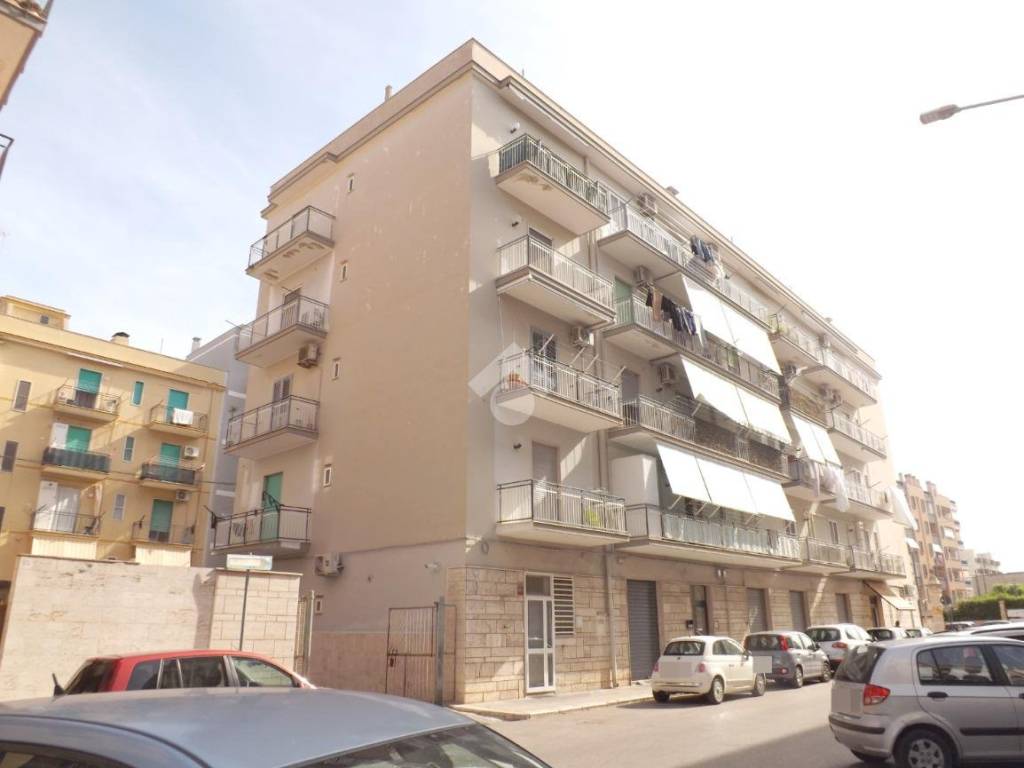 appartamento in vendita a Bisceglie