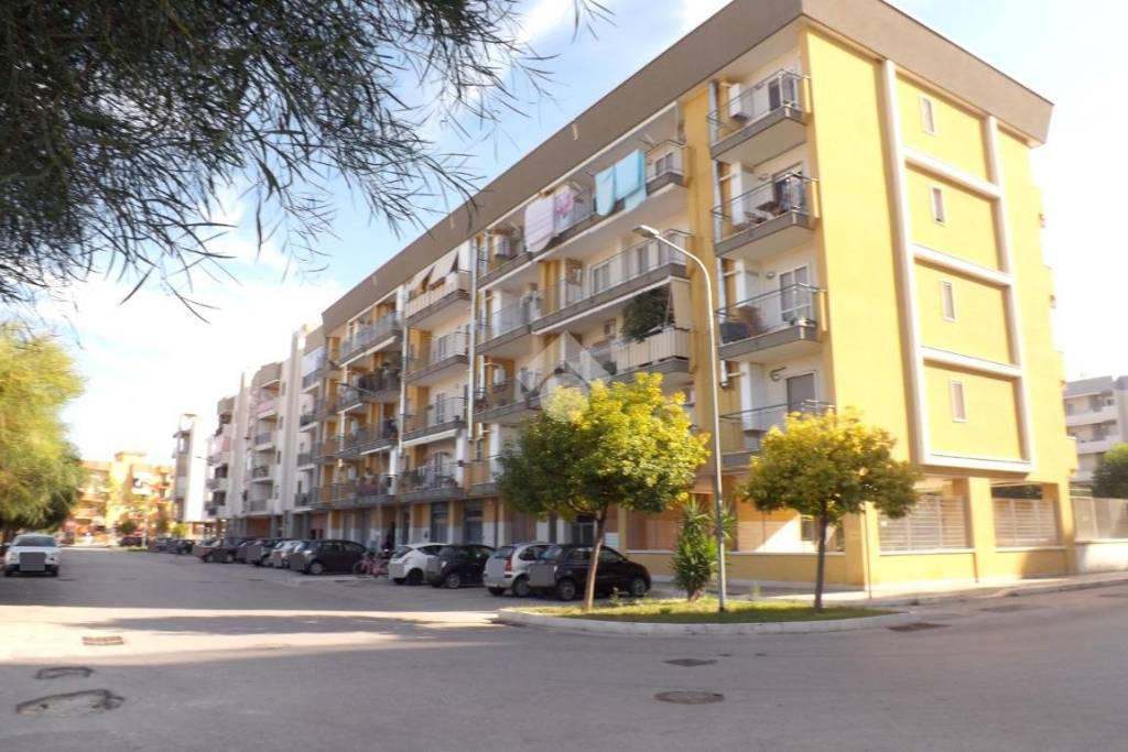 appartamento in vendita a Bisceglie