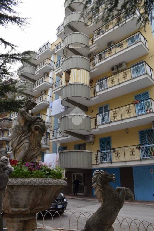 appartamento in vendita a Bisceglie