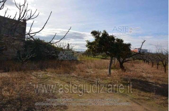 terreno agricolo in vendita a Bisceglie