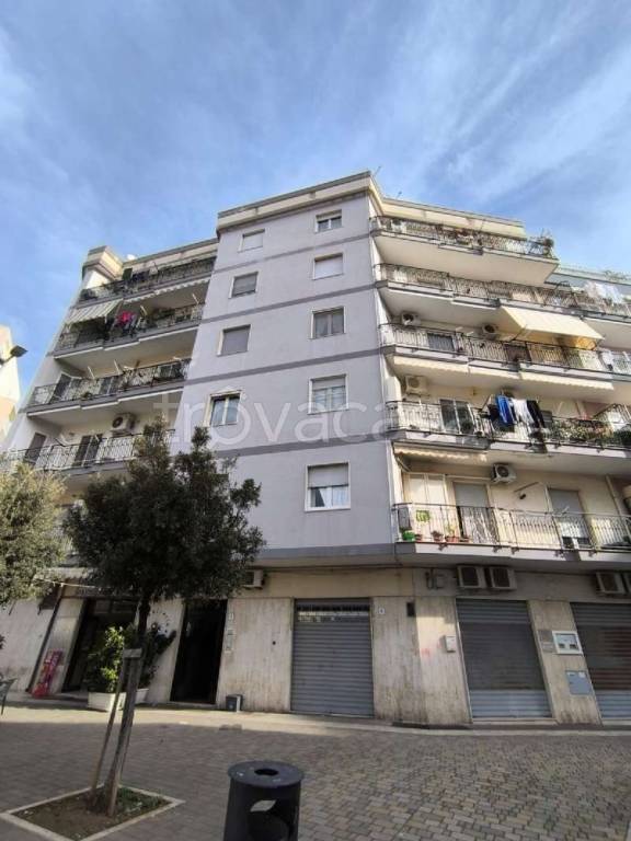 appartamento in vendita a Bisceglie