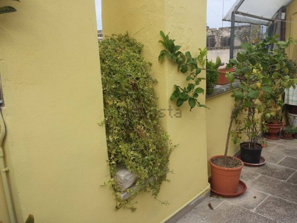 appartamento in vendita a Bisceglie