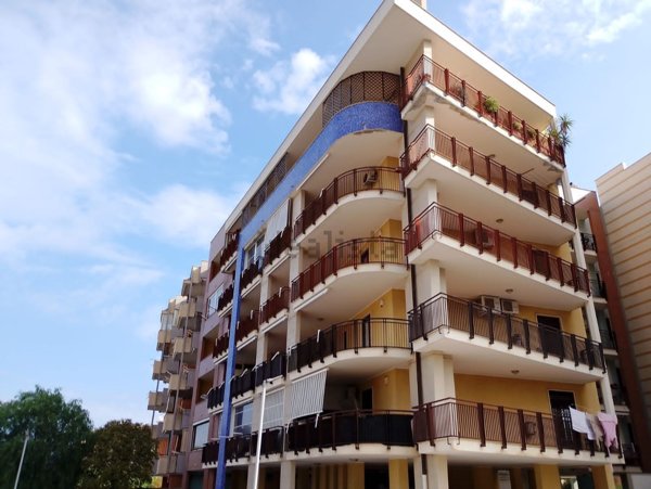 appartamento in vendita a Bisceglie