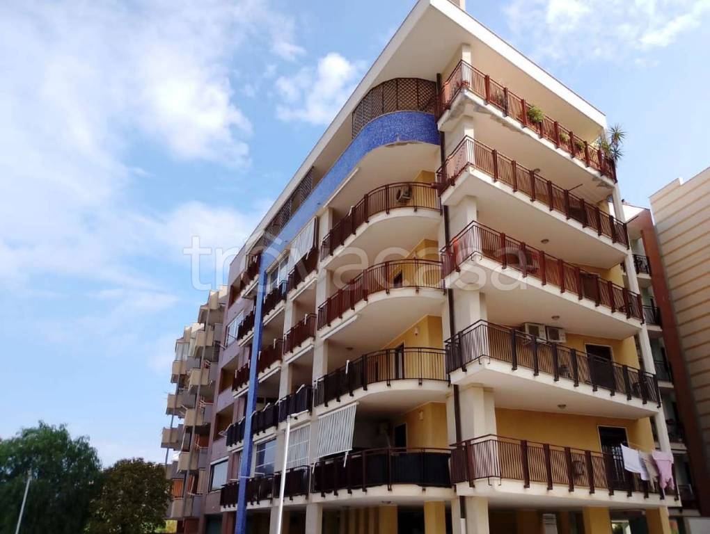 appartamento in vendita a Bisceglie